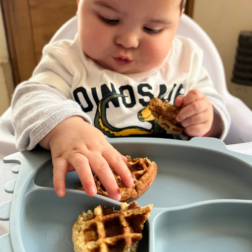 Waffles para bebé❣︎